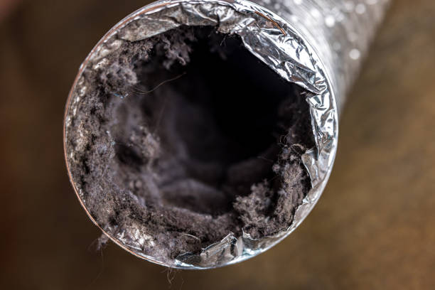 Best HVAC Duct Inspection Services  in Wright, FL