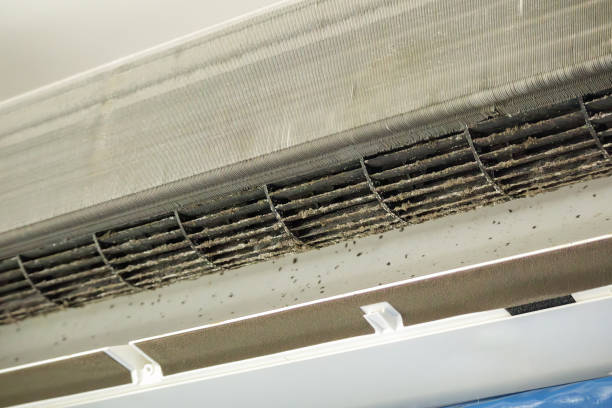 Best Air Vent Cleaning Services  in Wright, FL